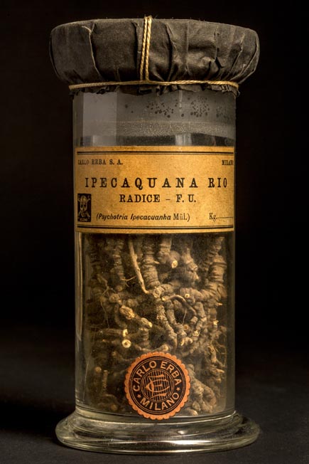 IPECAQUANA RIO - radice F.U.